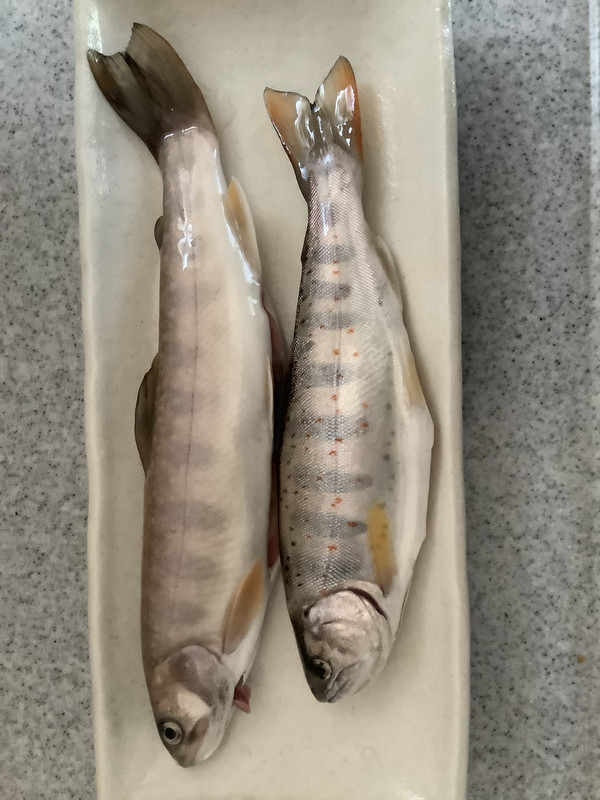 Acbd4123e99a42fb8f091c0ed718ceba