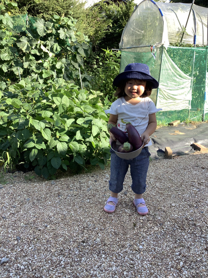 1b0e4a03ad9144b29b7b5acabfdd972a