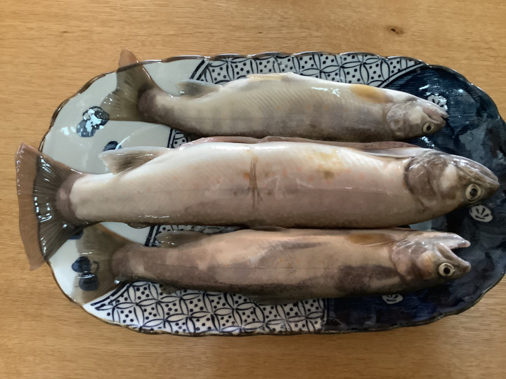 10369e85c0094b6fba246d088a424ba8