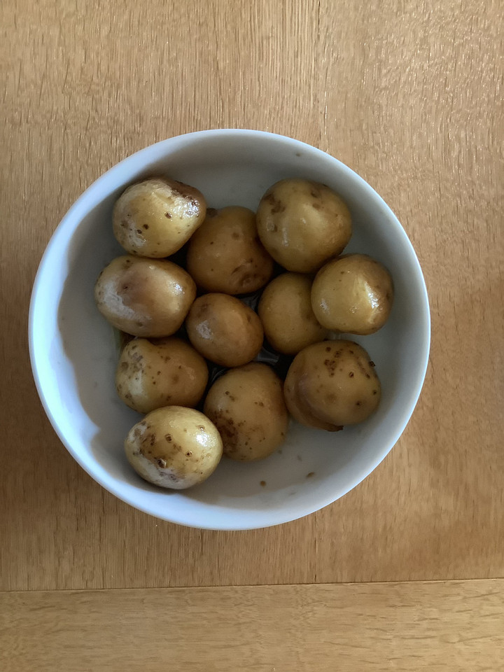 A6fc6410544a4a42959f7c2685204a19