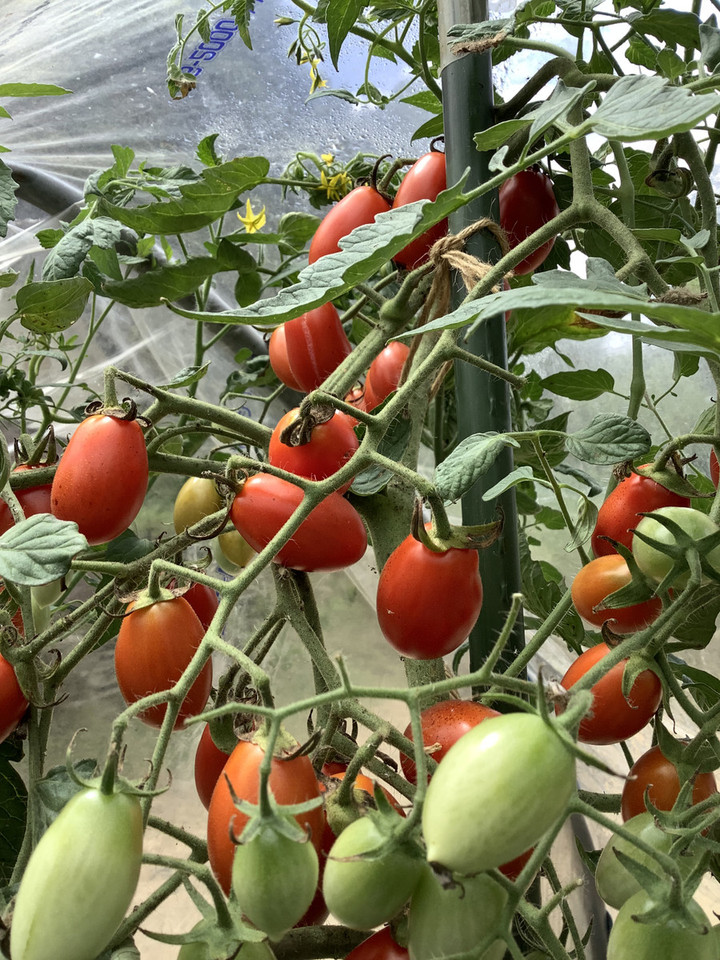 6bdea23e6e14498b83032a0510bcd6e8