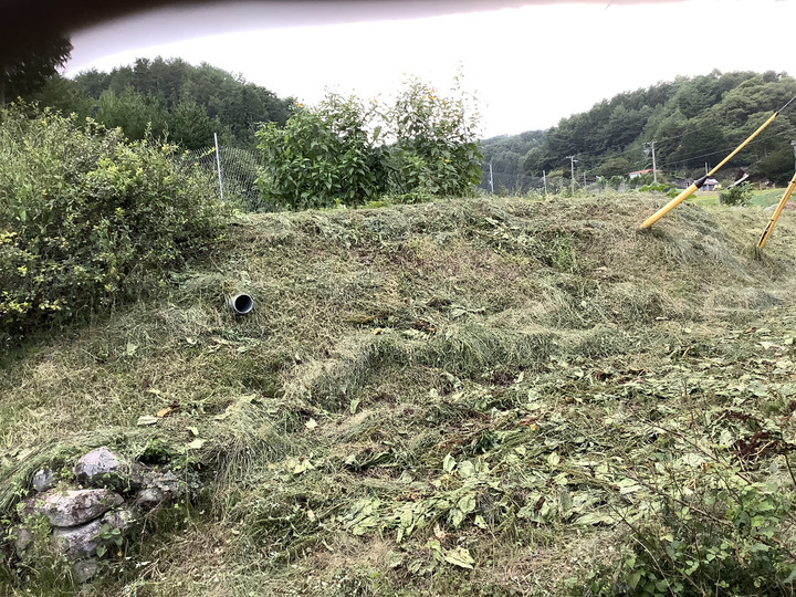 64b3895c4c814a668c04bbc173f9621d