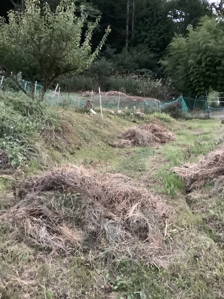 Cb5778f3dd984fc885b9c0261cf48c50