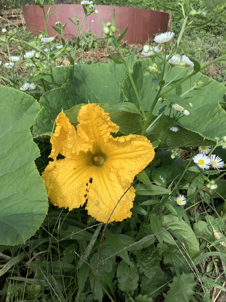 46db9f97c60b4c60a2961d4789083b3e