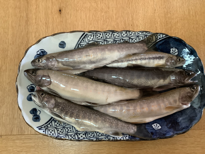 0ab373b870e84d3d84757c777aa4ac08