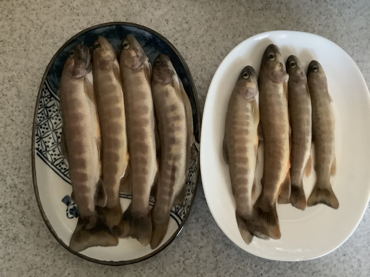 C4da0ab54a554b7a930031624d3cef0f