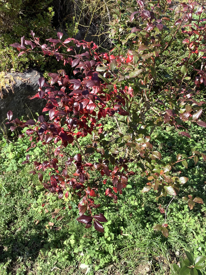 D37026ca4422429ebca067cc7dd17ff9