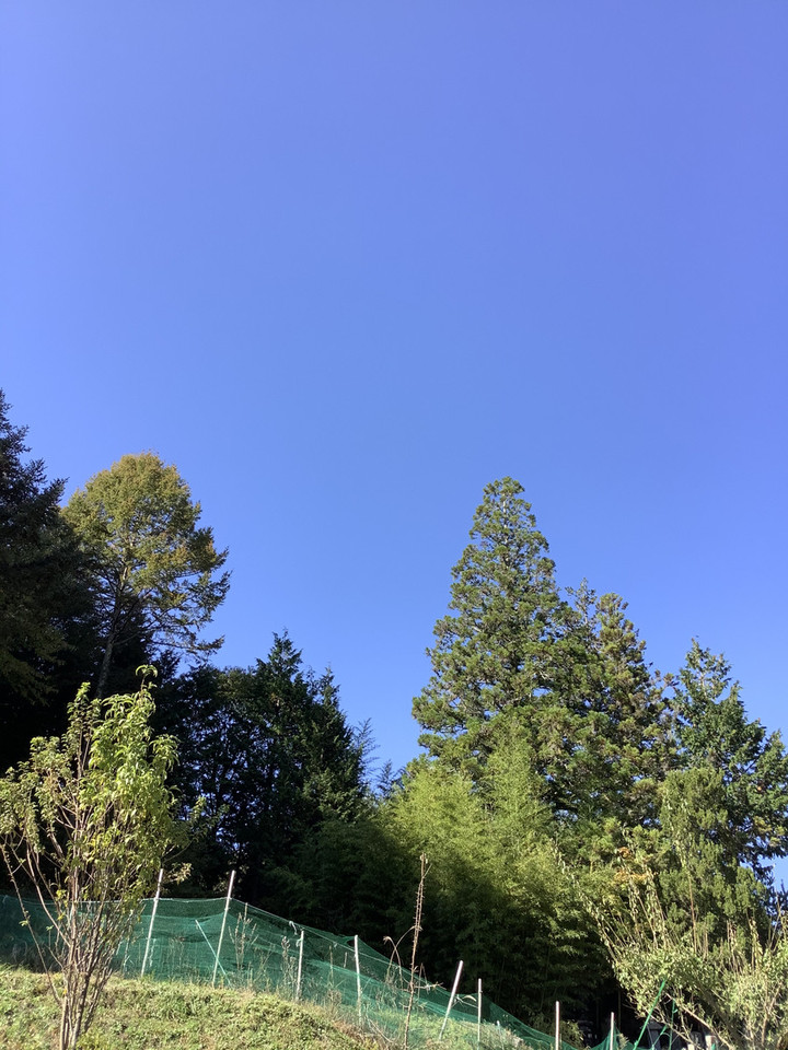 A33dbfdb54404dc1998e163ec36978c1