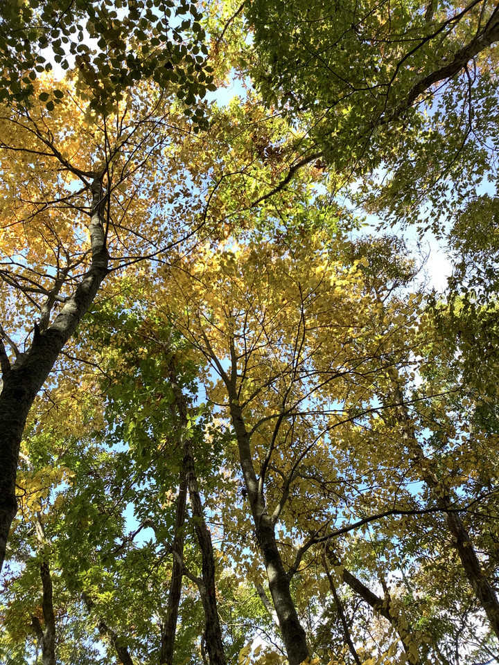 24d09c30268f486a9ca13341f29a8e22