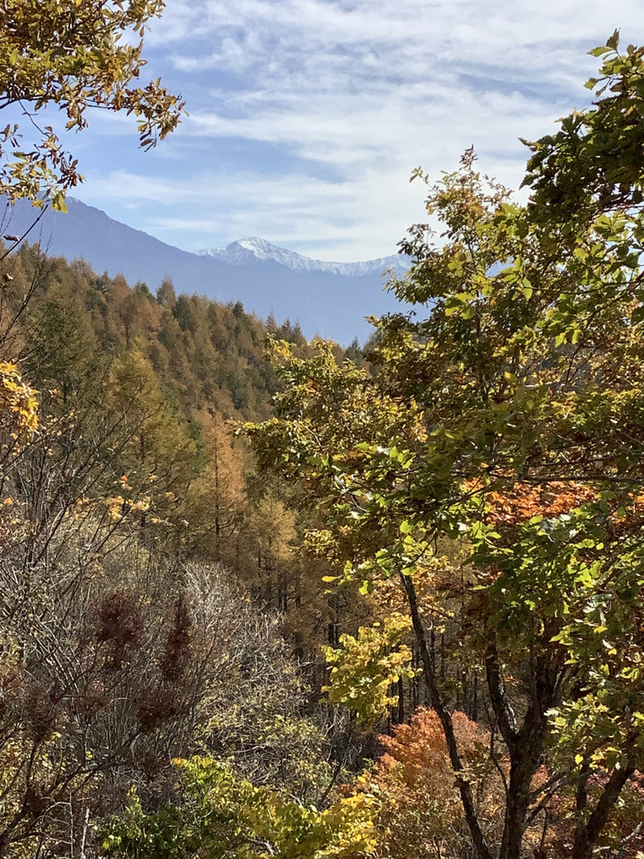 9736446773b544758d190f4d3d09510f