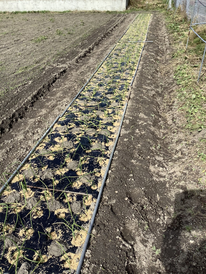 A0205a18c71249f79c117e4c5cf4242e