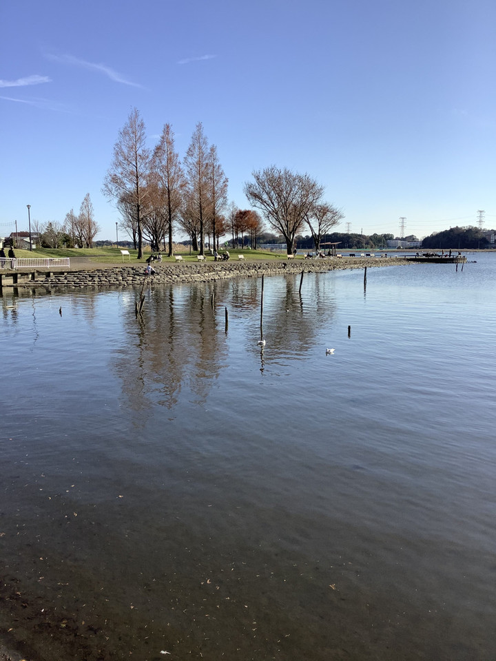 A207fd18ea4b4ddeb6493c0dc2310a50