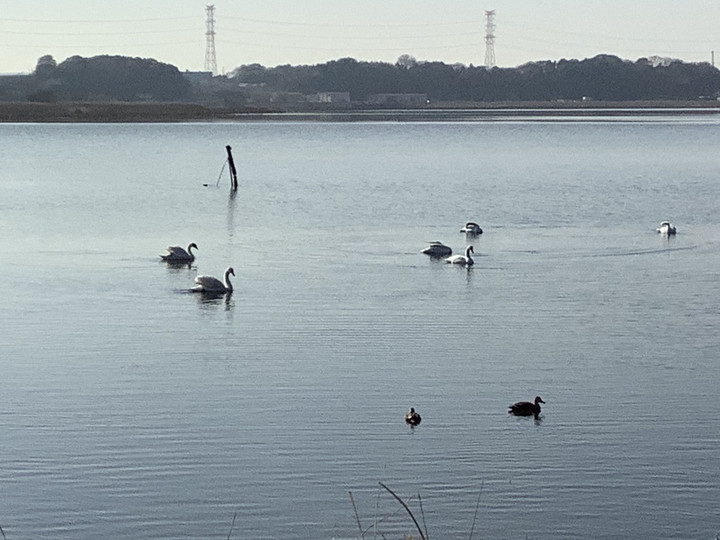 C17aae0edd694a0d9c1c30f79a162f68