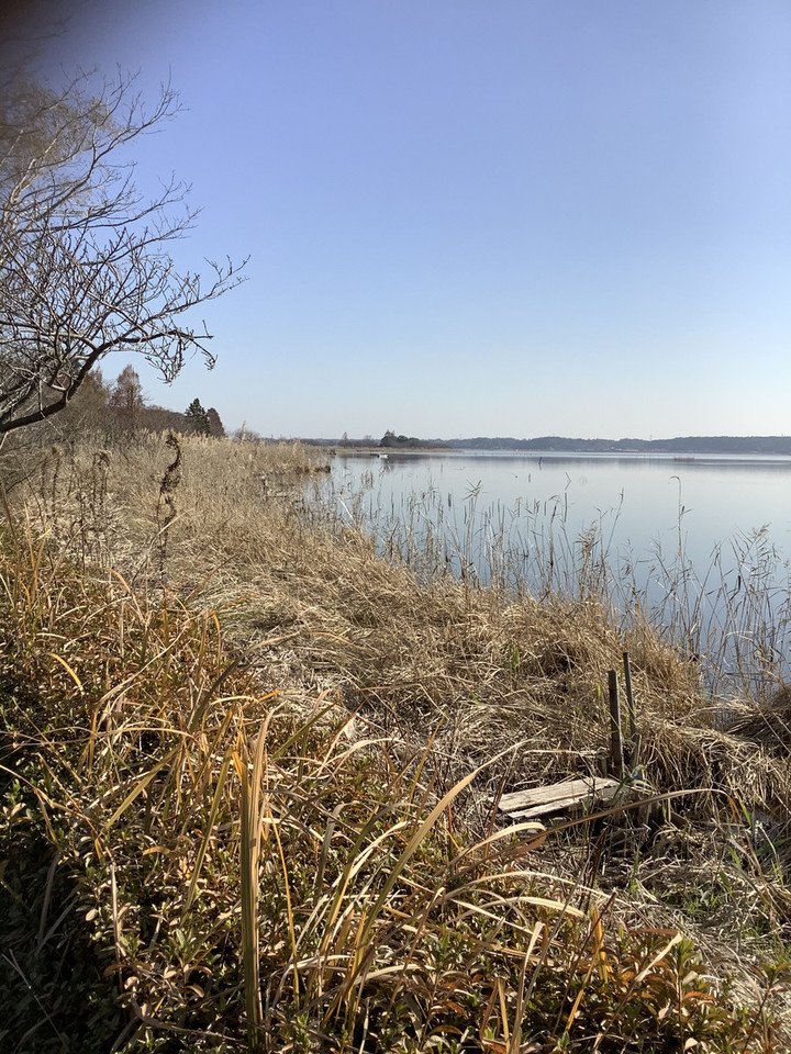 26881380df1648be9016d6713ca67fb7