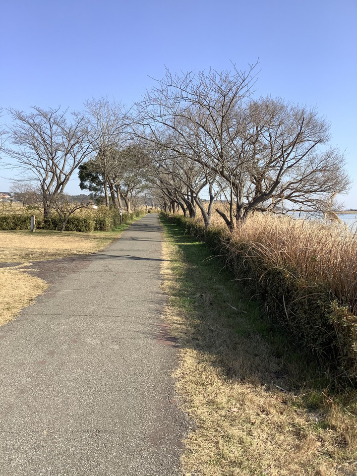 Ed8952ed73dd4a78bedca86bcbdec7e7