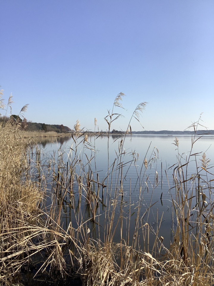 2cbc51dc3a8e4fcda2a750c48da92be8