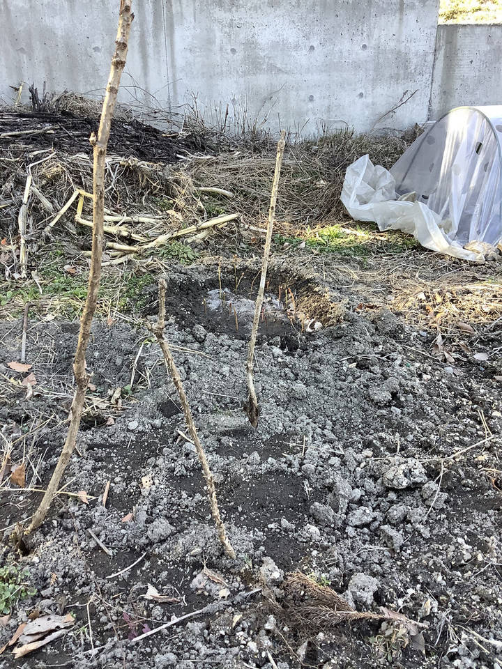 F91a0c9ac58443b790374994f09e3f95