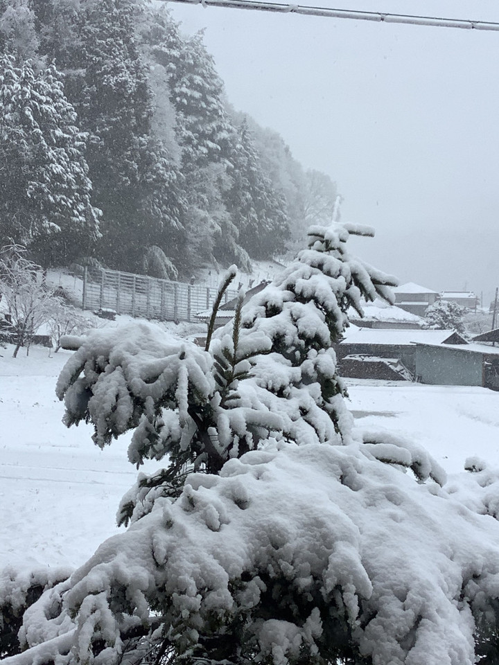 B0ea239f7a1f474089a32b73cb473bb1