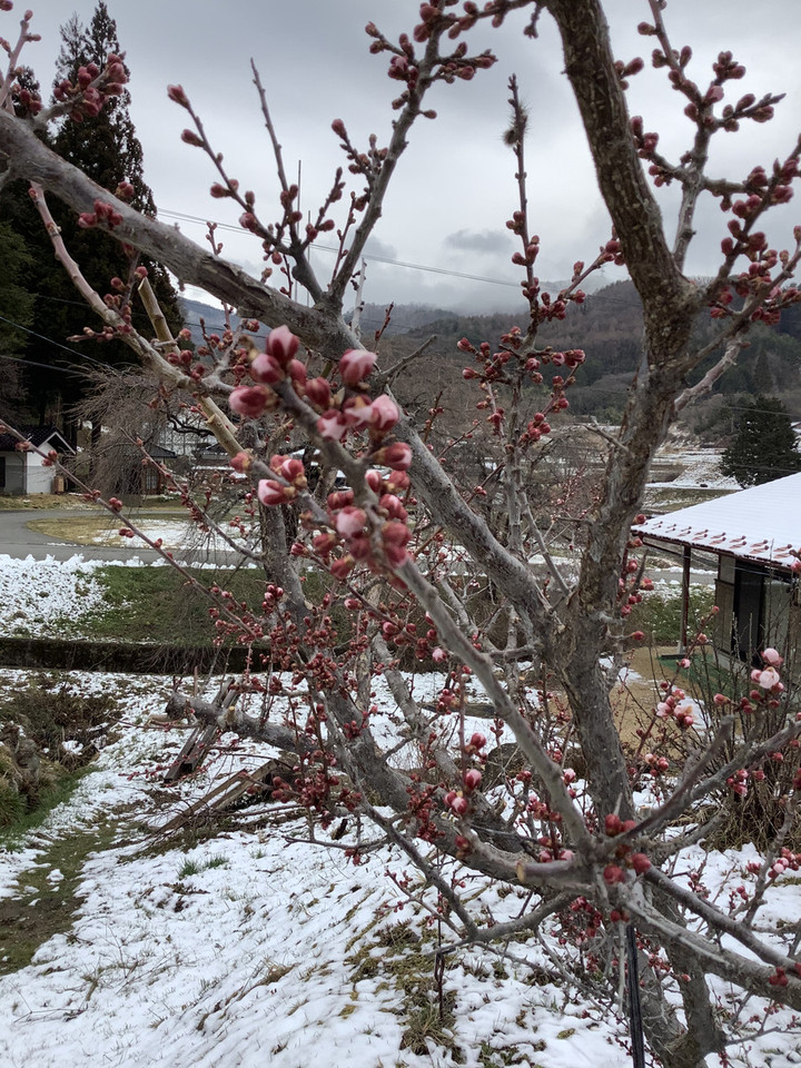 1f003c3e70224a16a7fa3c174f5e44cb