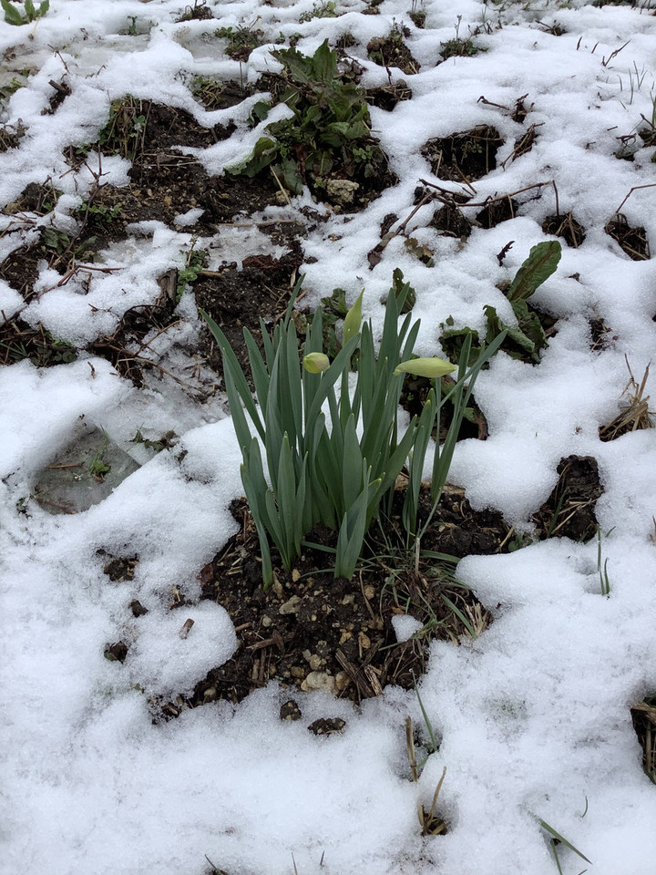 8b634bbf1dff43b1ac2c4b70157b5aaf