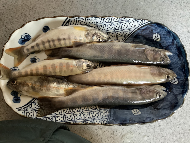 7bd1356aa4c64376ad8941405d75cac5