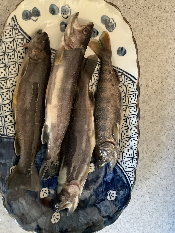 B3096dd99976448d934f9f60fc3f5f16