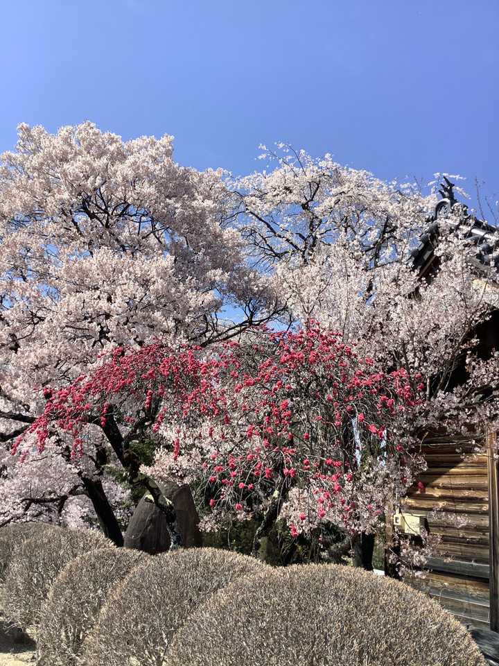 03e2c73dfe4747c4b397fba48b0f1338