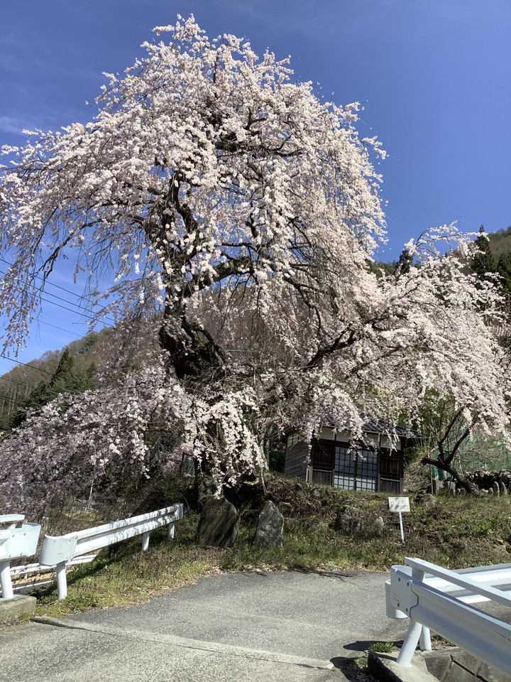 5da1c424c84948dcb83539fdad04e4fe