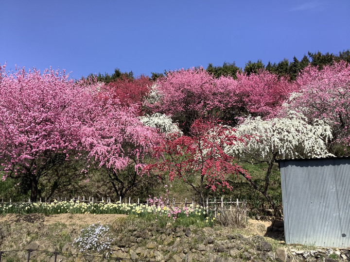 725b028243cf4c4796c62d2dd32dbc8a