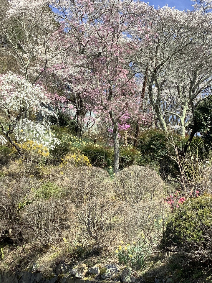 Afb3244291384f67964c2587660e1885