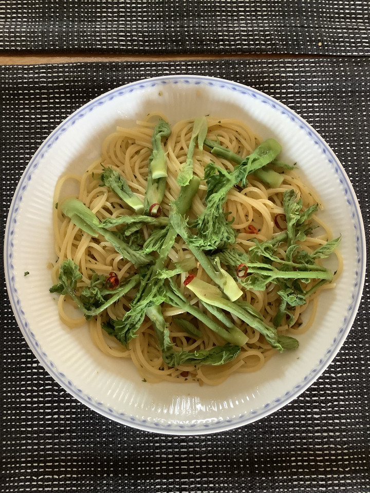 E95ce7894627444eaa593a6e45519328