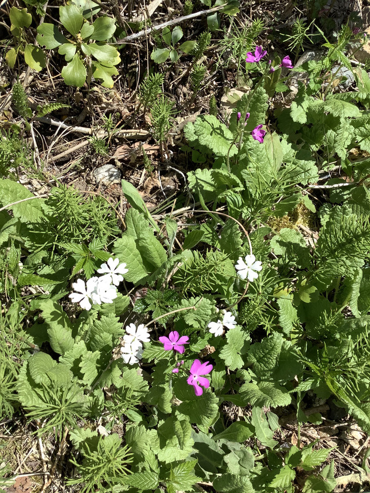 C285276ae373462b9a22d57465de02e5