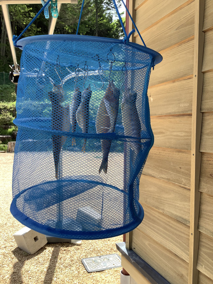 005198870ddd4a9480994d556fe2f132