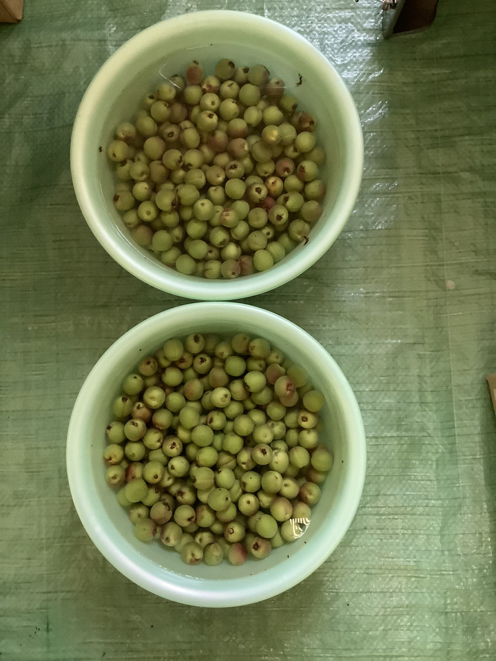 Aa9597327c5c4648a7ad120eee178268