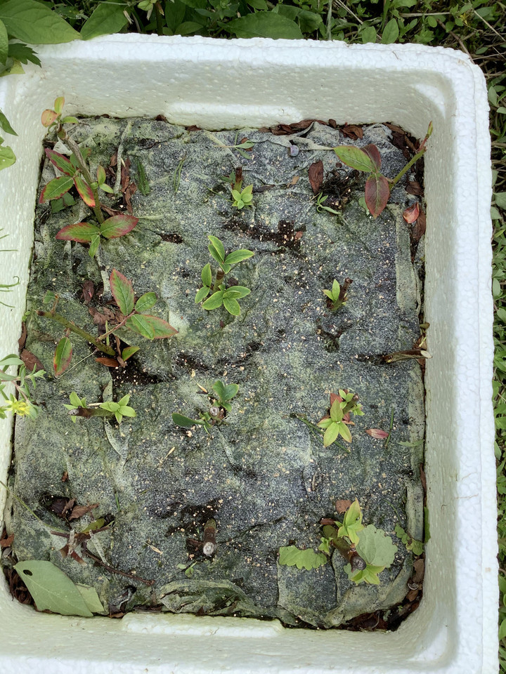 F974fedee271469f83ee63b635e084b2