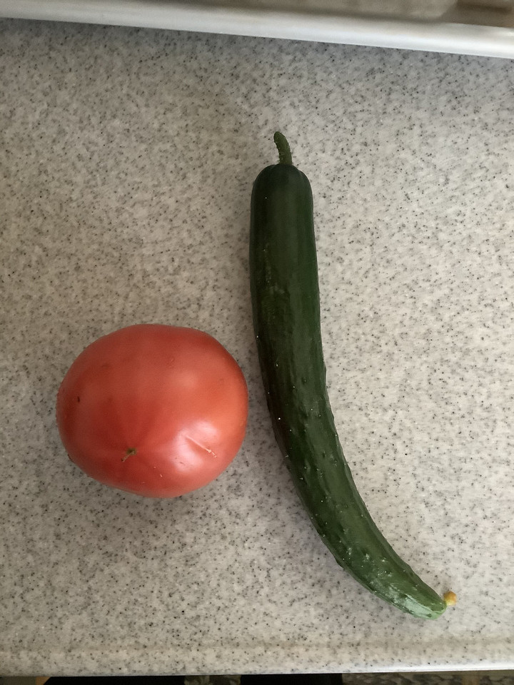 19c3a2a26c0d447a8f7dc34f7bc72f3a