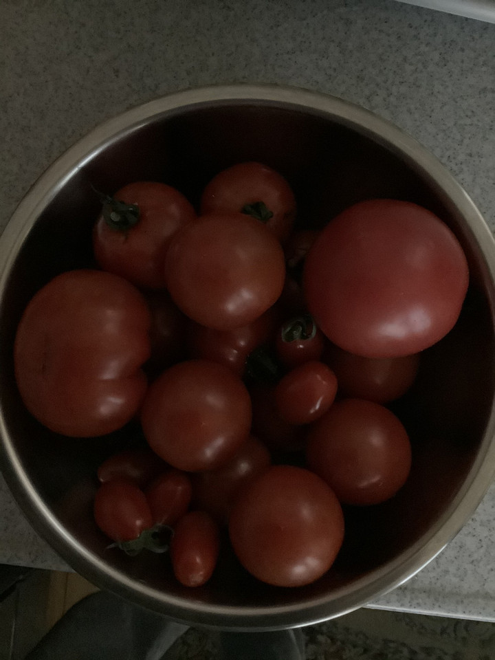 D4120017618f41d2b439daa895b8255a