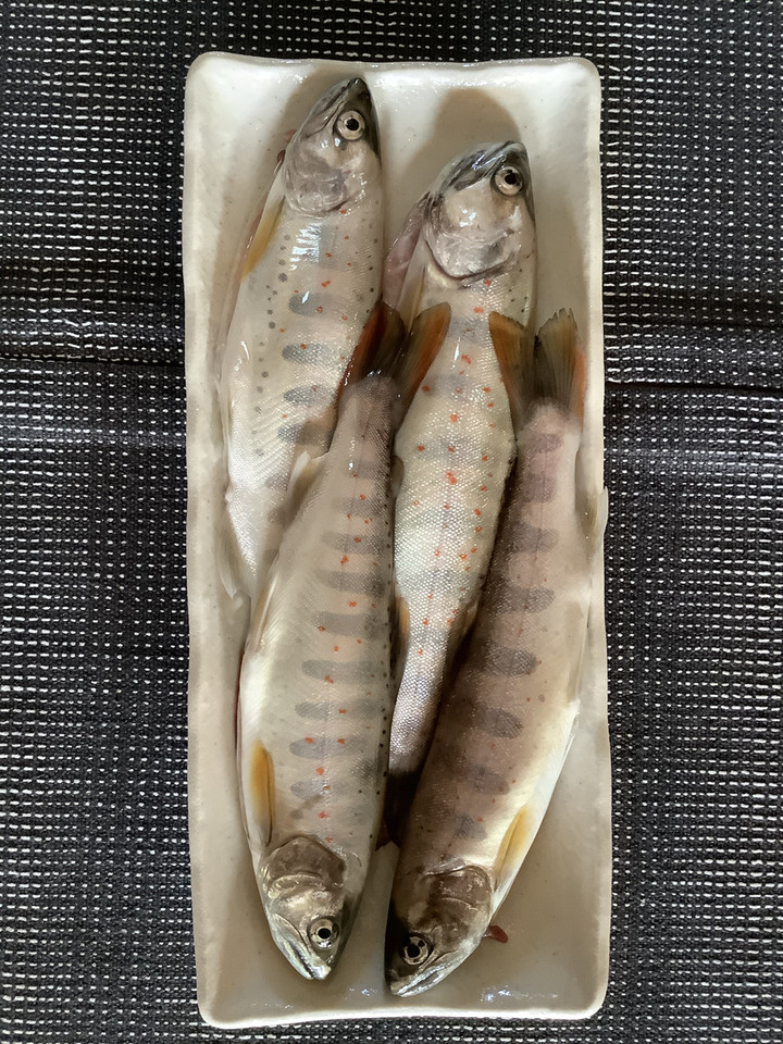 51a9586ae1ca46f5b460870f824bd463