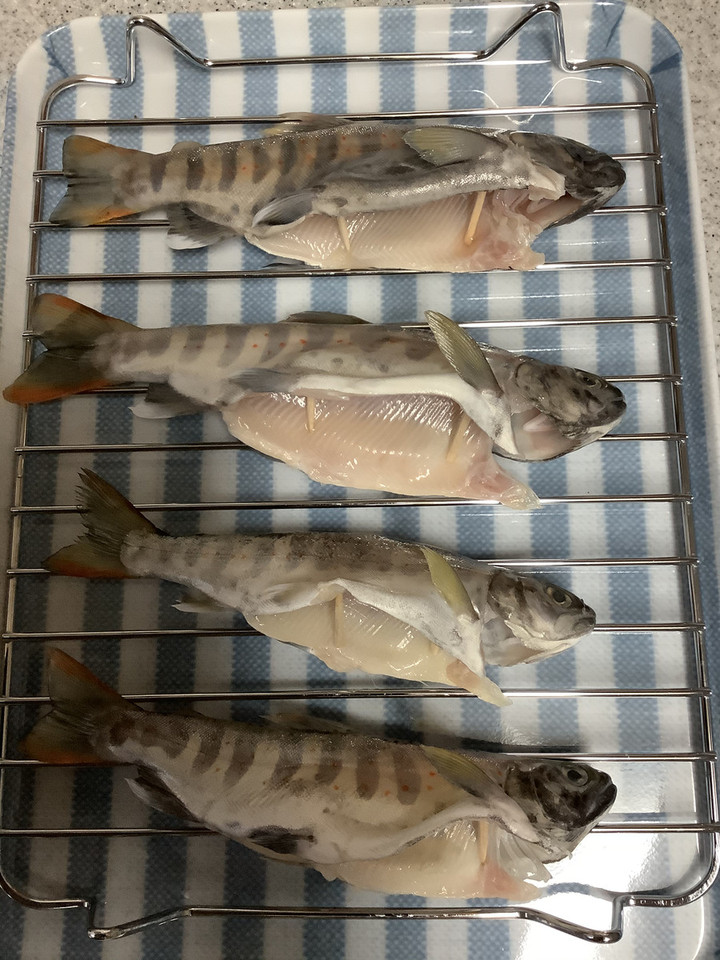 5fa54b1df6c54b539283a64840871be5