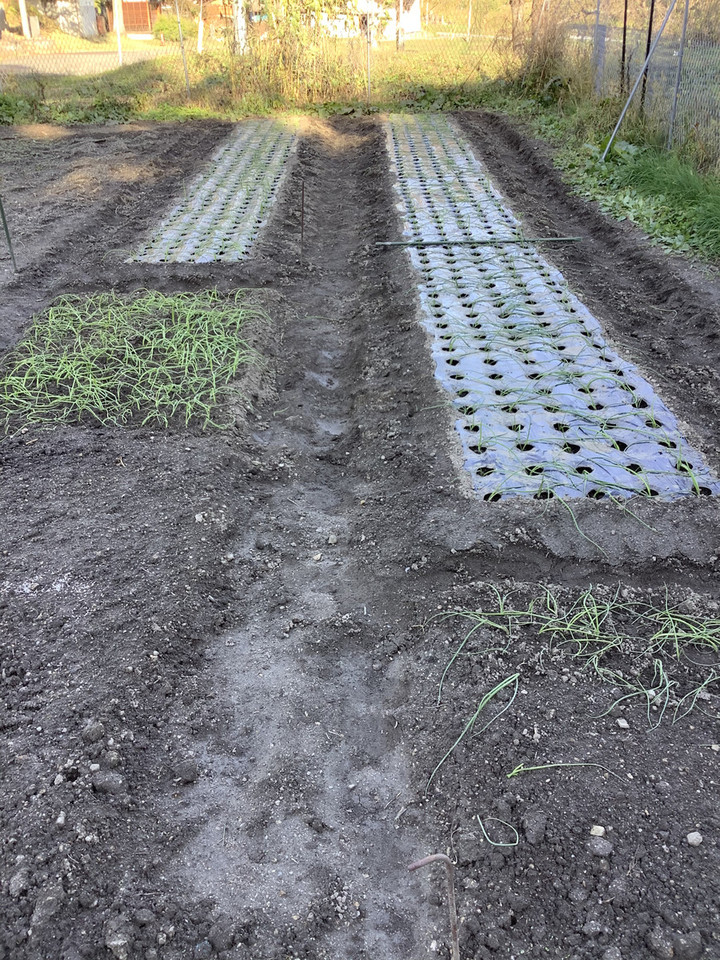 C0e44a69a78a4fb79f6b083f216b63bd