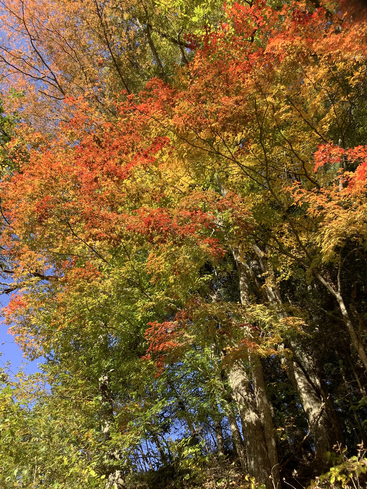 6b936f1b95f24c6d9afdfee95c496838