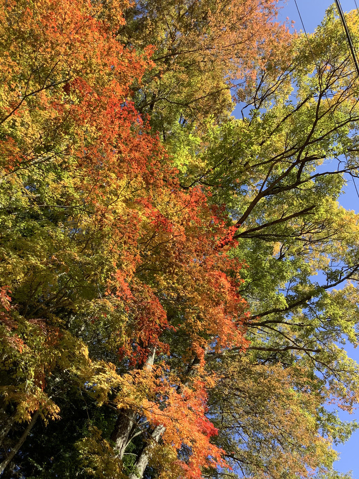 A54193dc60ea4d56ba4d3a8ae5be3efe