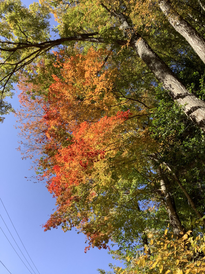 E249a00a7ea448c7b6fb3eb0efc6e63f