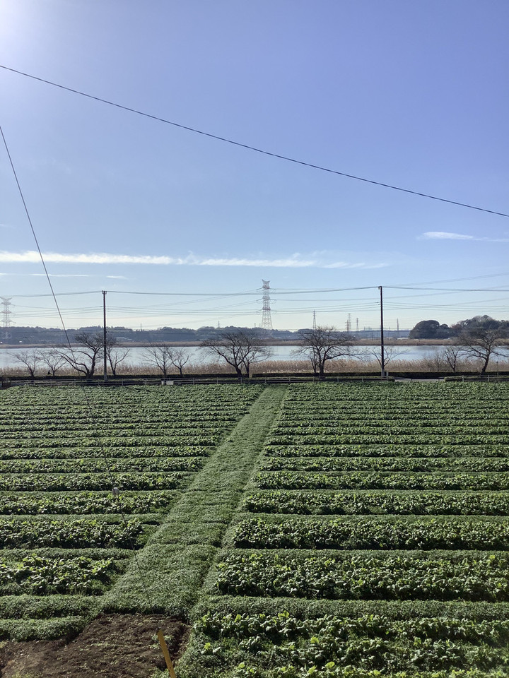 01f3d8ca40fa4f3097b2540be3c66585