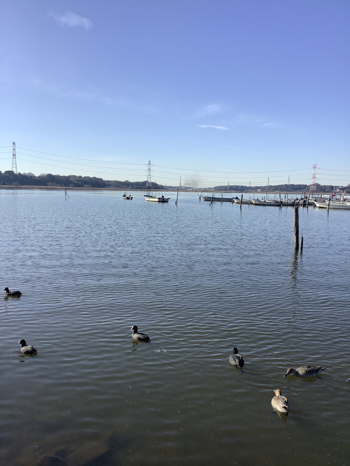 12bdc0f636234eeabe9b9975bfb6dd7f