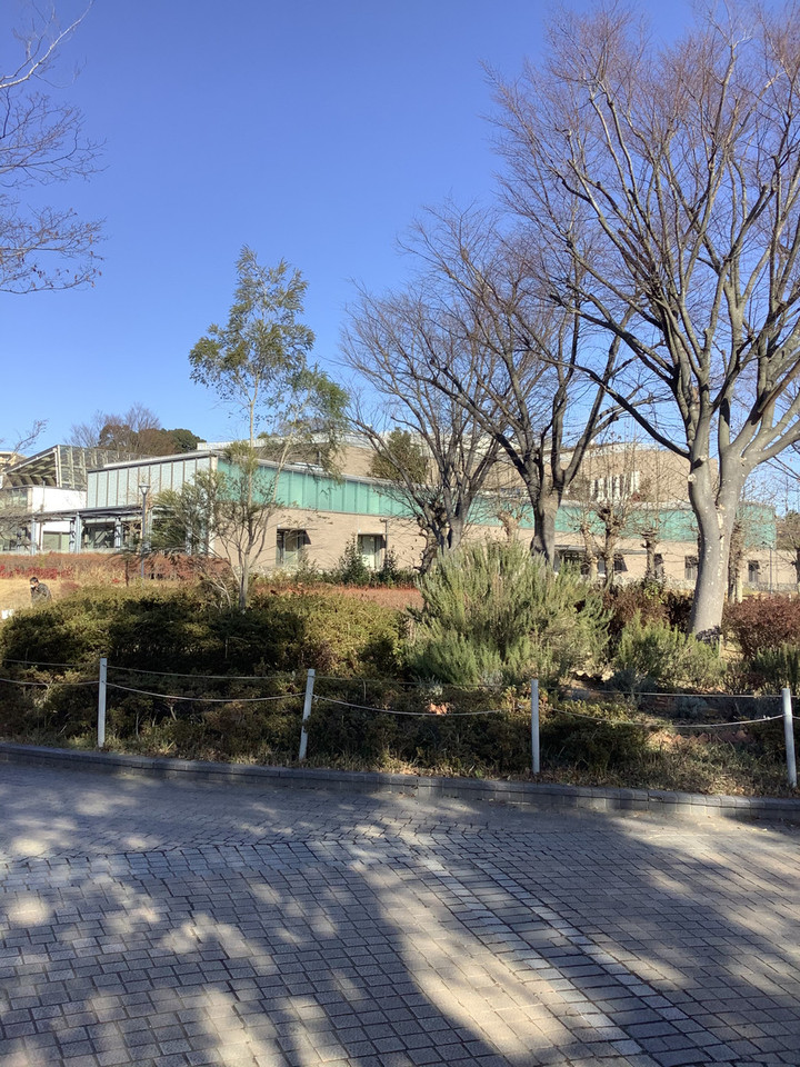 A0c8a1b4e07d45428e76c8cb693a3c14