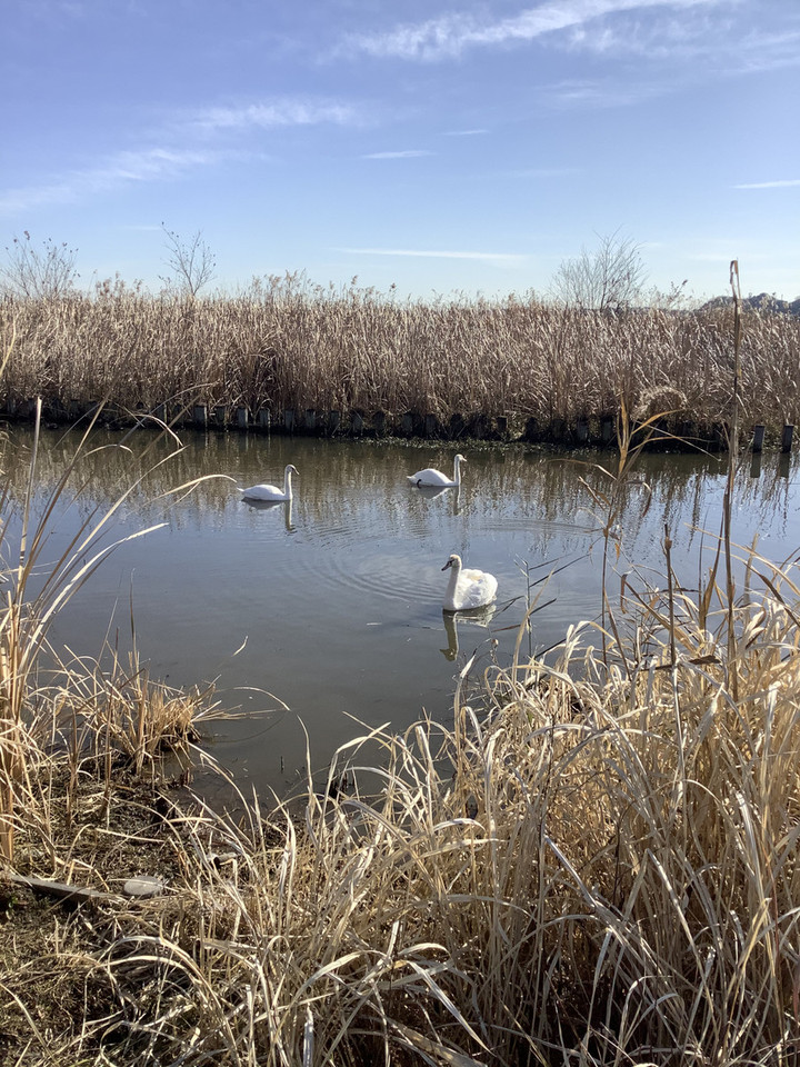 Aea8d12a8e8748a5a05c1745daf45c24