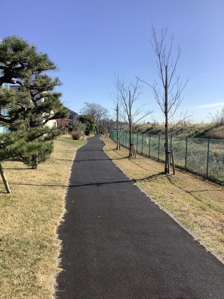 D30cd02525134bf3bf4b38aedf8d9bf6