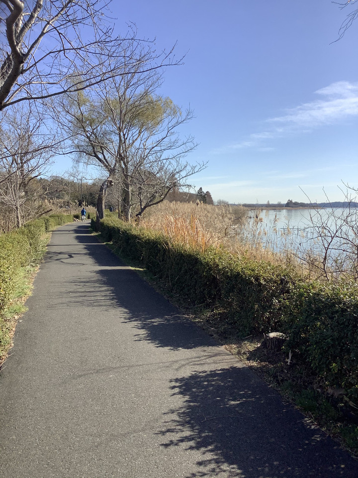 D586de5bb04d47d59ea88add3232ed37