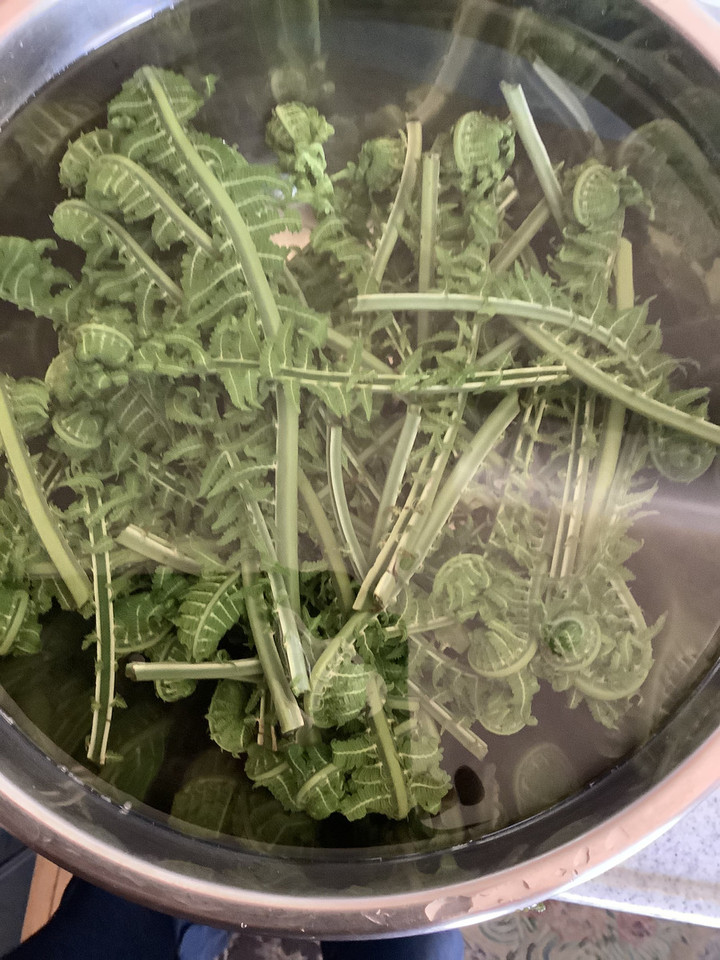 A76270f594684276aa0068c5b0d6452b